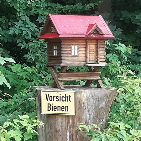 10-bett Sonnenblume *