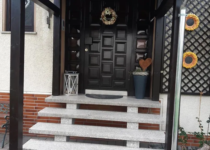 10-bett Sonnenblume *