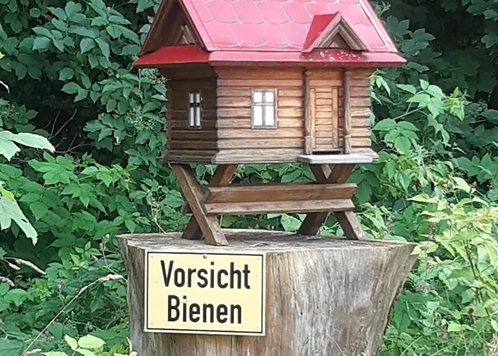 10-bett Sonnenblume *